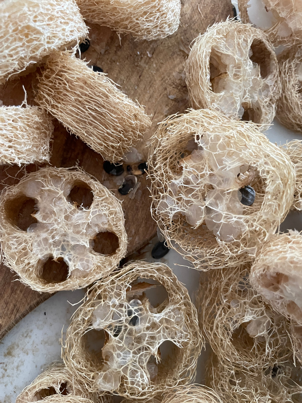 Loofa Soap Saver (Raw & Organic)