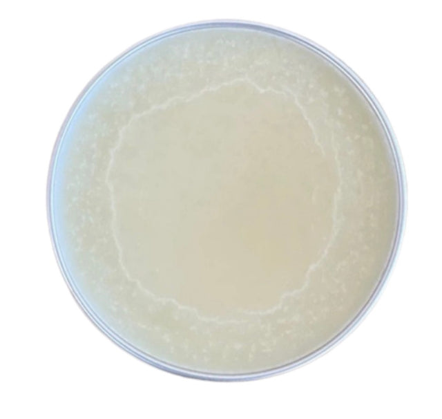 Rosemary + Lavender Tallow Balm