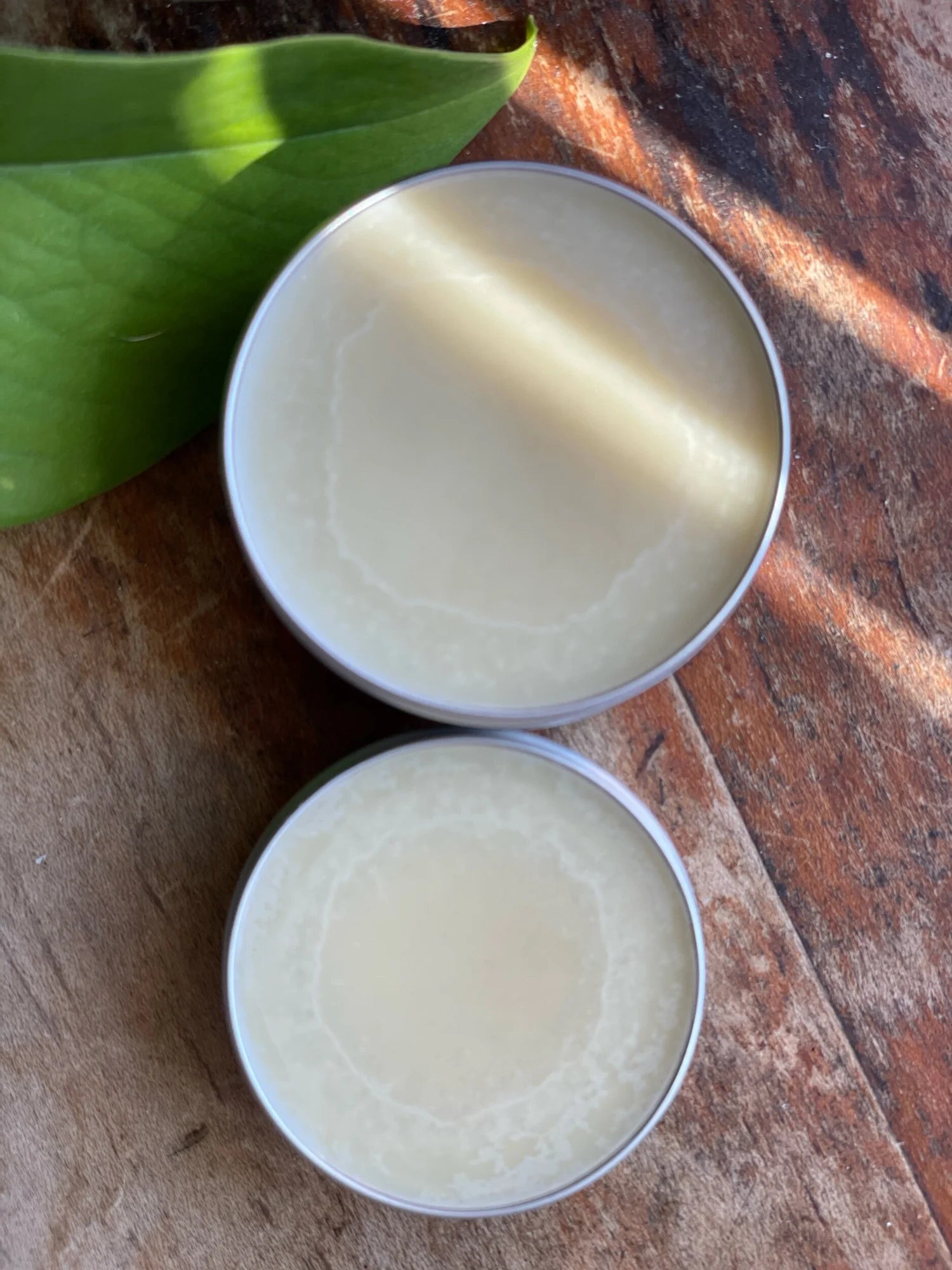 Two open tins of Earthy Crunchy Wellness tallow in natural light